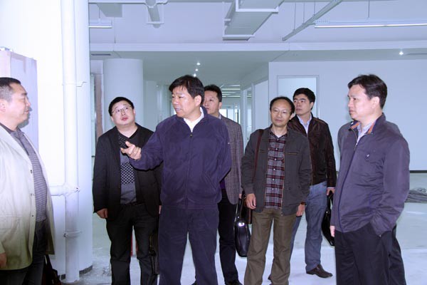 楼永良董事长到装饰集团检查工作