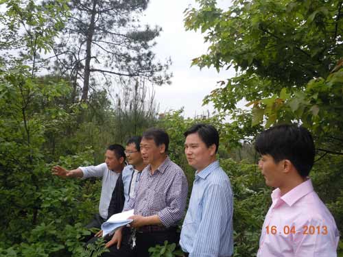 楼锦其董事长前往苗圃基地检查工作