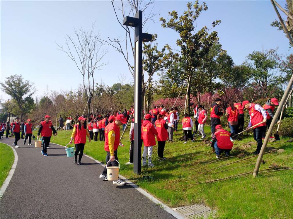 绿色传递 为爱播种 ——中天精诚装饰组织开展志愿者“3.12”植树活动
