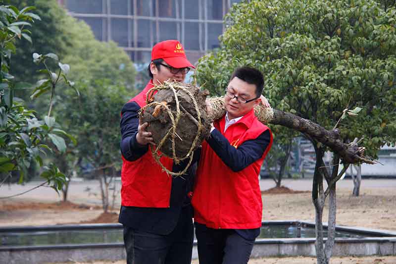 装饰集团组织开展志愿者“3.12”植树活动